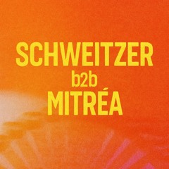 SCHWEITZER B2B MITRÉA @ DVG