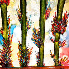 RAVE SESSION IN LA TORNA DEL TRICHURU