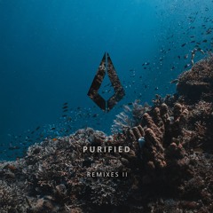 HEREON X Adam Sellouk, Like Mike, Braev - The Night (TH;EN Remix)