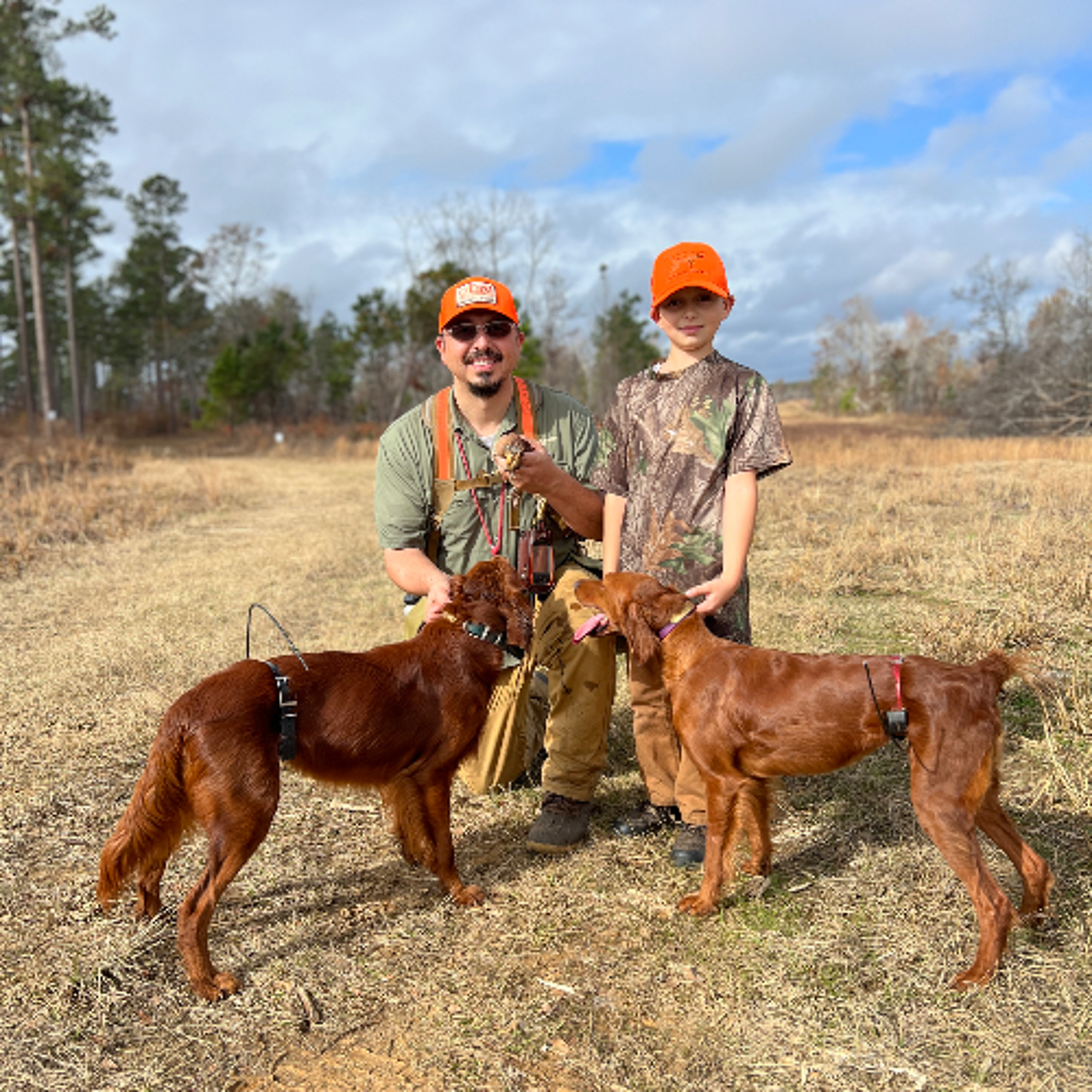 Dr. Dale on Quail