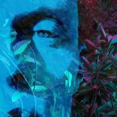 "sacred tension" [meditative neo-tribalism] - Rabbit Hole 7