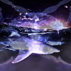 cant see shi [boska]