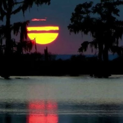 Jeev - Crazy Jit (Fast)