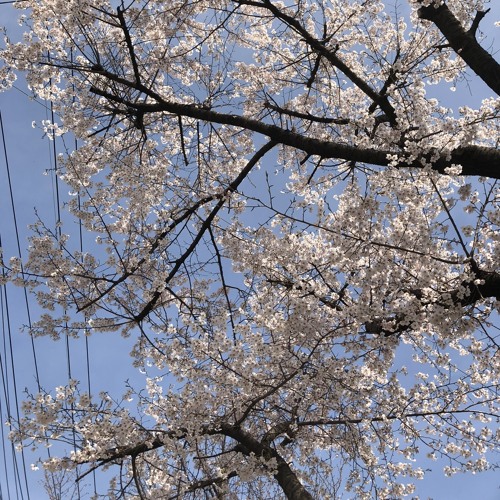 J. P. Kee, J. Cleveland - When I Think About The Lord (Lioroom ver, Dohyeon1227 Remix)