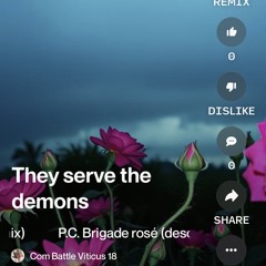 p.c.-brigade-rosé-(desolation-shoe-gaze-mix).mp3