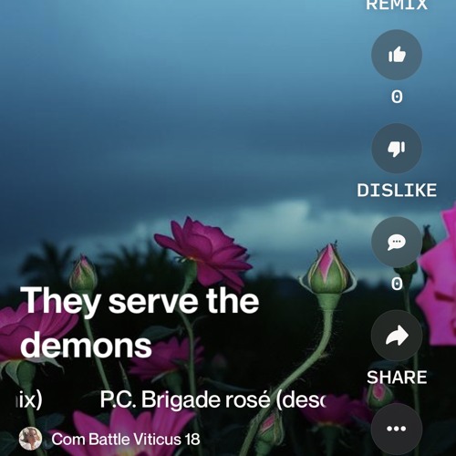 p.c.-brigade-rosé-(desolation-shoe-gaze-mix).mp3