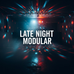 LATE NIGHT MODULAR | Live Eurorack Techno
