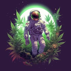 Ganja Luv Song - BIBAO