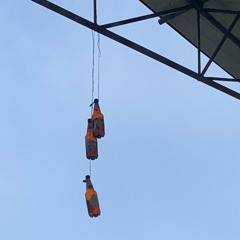 Beweislastumkehr (prod. seqvince.)