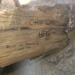Chip Was Here - Single