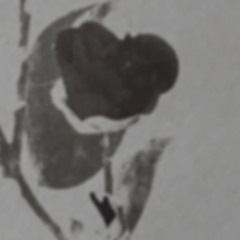 Ear Trumpet - Bring on the Dirt (Brixton - 1987)