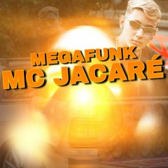 PIQUI DE GOIAS MEGA FUNK