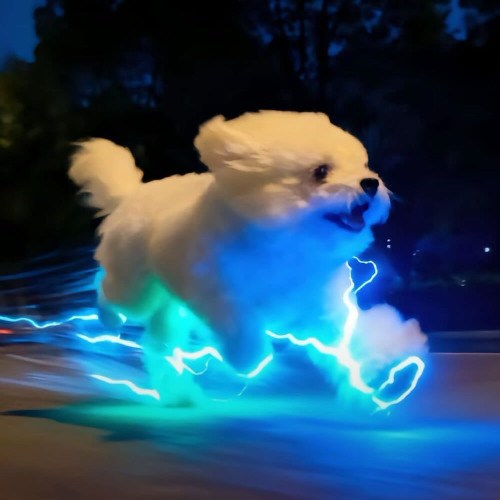 isekai'd and reincarnated as a korean ig slap