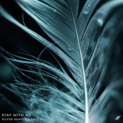 Silv3r Shad3s & Krix Music - Stay With Me