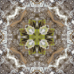 Echoes of the Hollow