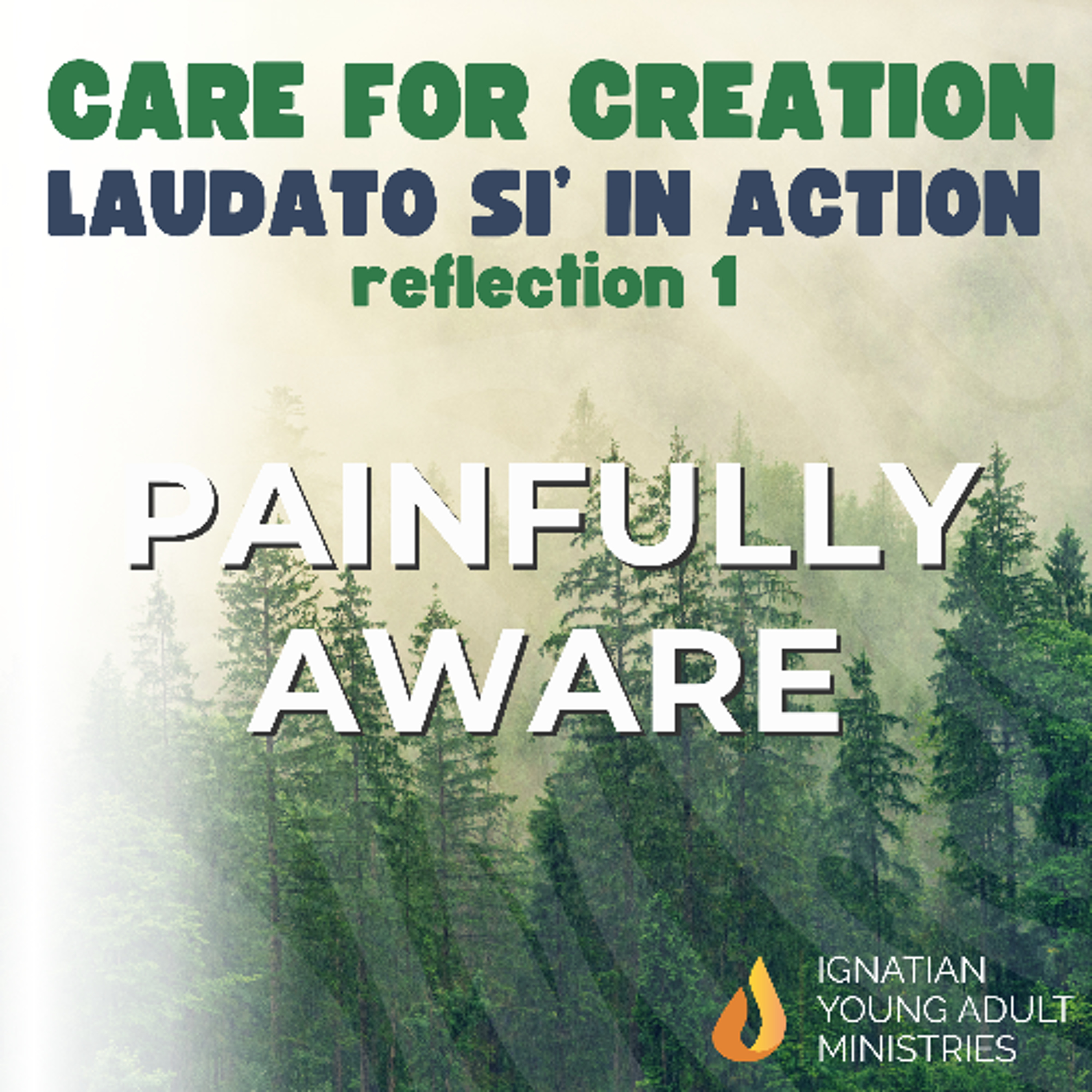 Painfully Aware (Care for Creation: Laudato Si' in Action)
