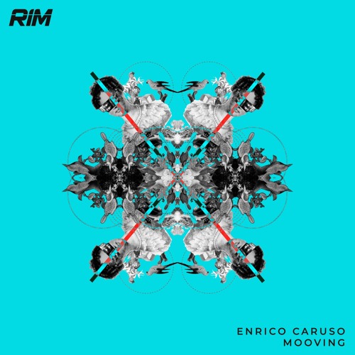 Mooving (Original Mix)