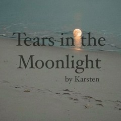 Tears In The Moonlight_Vinyl Mix_08/28/2024