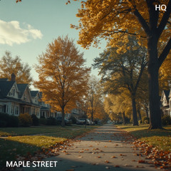 Maple Street - Golden Beats LP