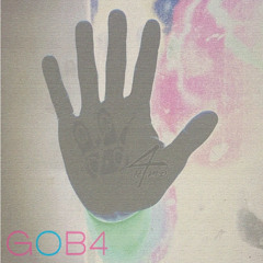 GOBA + H4MD - HANDICAP (GEORGE)