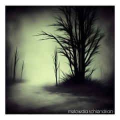 melowdia schlendrian