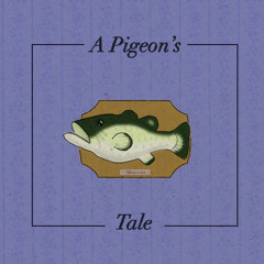 A Pigeon’s Tale