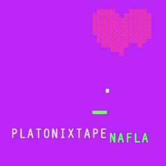 nafla - 08. 부축여줘 (PLATONIXTAPE)