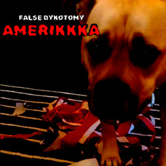 Amerikkka