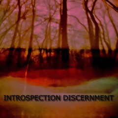 Introspection Discernment [Live / Studio Set]