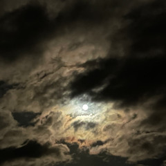 HALF_MOON_HALF_SHADOW