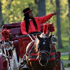 TWU Salutes our Central Park Horse Carriage Drivers