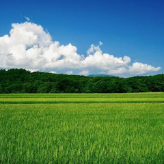 オーガストユース