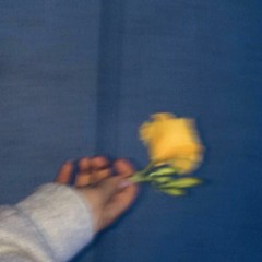 i wrote this song at two am