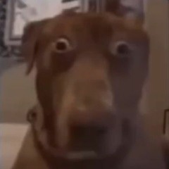 Well... "starts rapping"