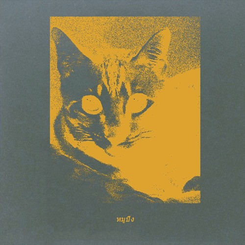 Mooping Cuts #1 (Re-Meows)(clips)