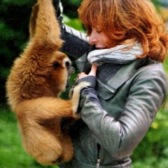 Monkey Me - Dominique De Vangelis - DreamMix