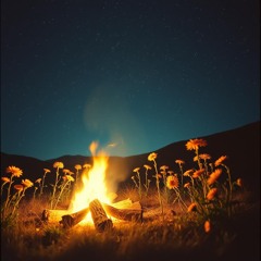Midnight Fire