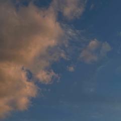 Lin Pesto Bir Düşün