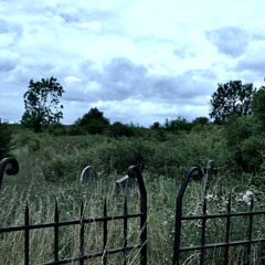 GRAVES OF GREED.