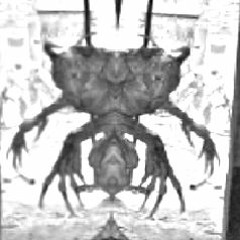 друг