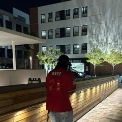 Grandrising (Ft.Ziggy x Rexflxrr*)