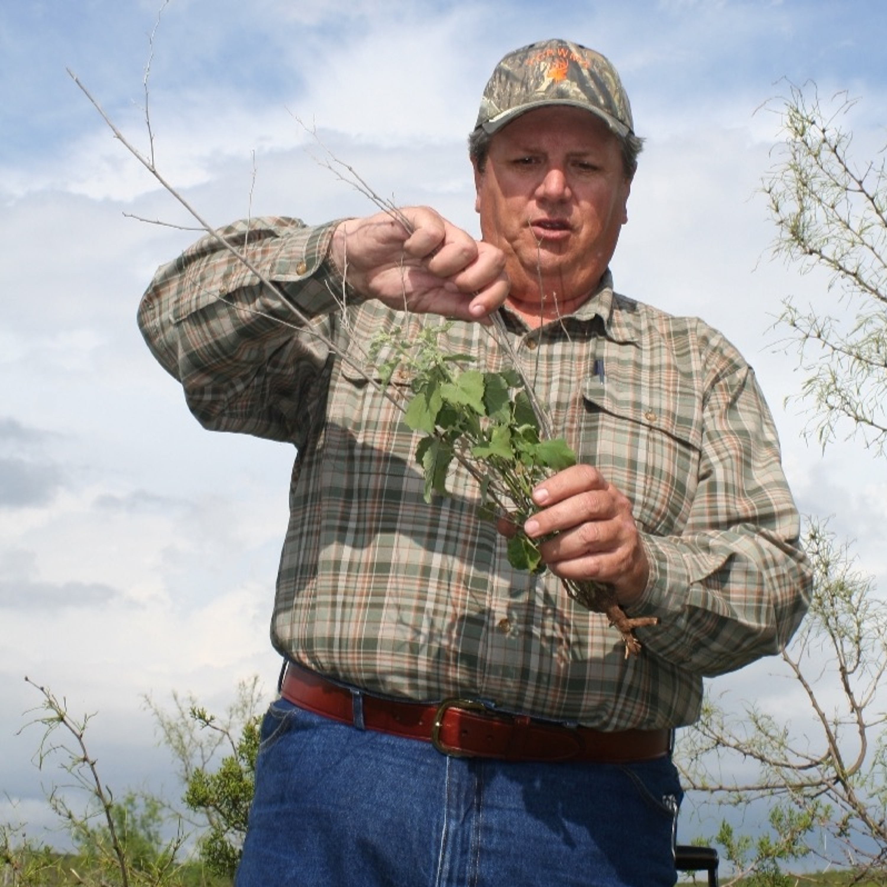 Dr. Dale on Quail