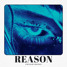 REASON - PRODBYBERKE