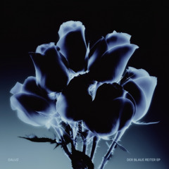 Daluz - Nevermore [DALUZ001]