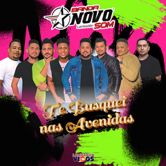 Te Busquei nas Avenidas