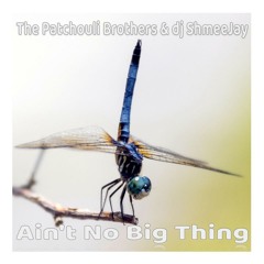 The Patchouli Brothers & dj ShmeeJay - Ain't No Big Thing