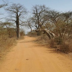 BAba Tk   2 (Mastered With Aurora At 50pct)