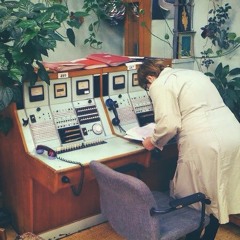 flex codex - myshki 6