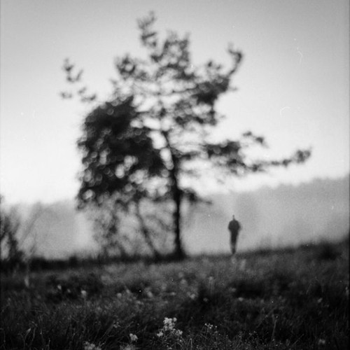 Ambiguity