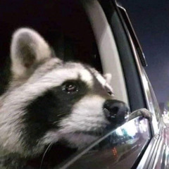 khi người yêu tôi khóc (Trần Thiện Thanh) - Dzhng9